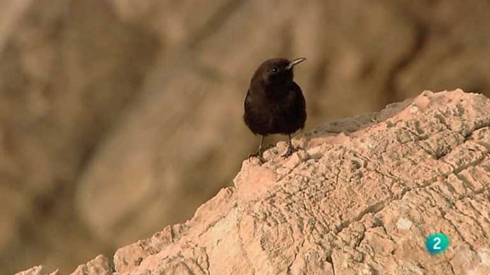 Biodiario - Biodiario - 29/04/13