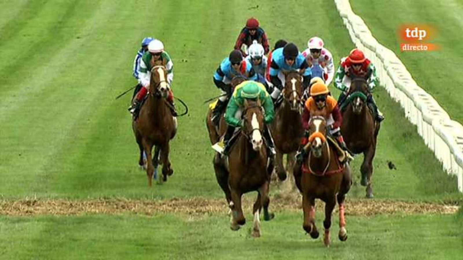 Turf - 01/05/13 - Ver ahora