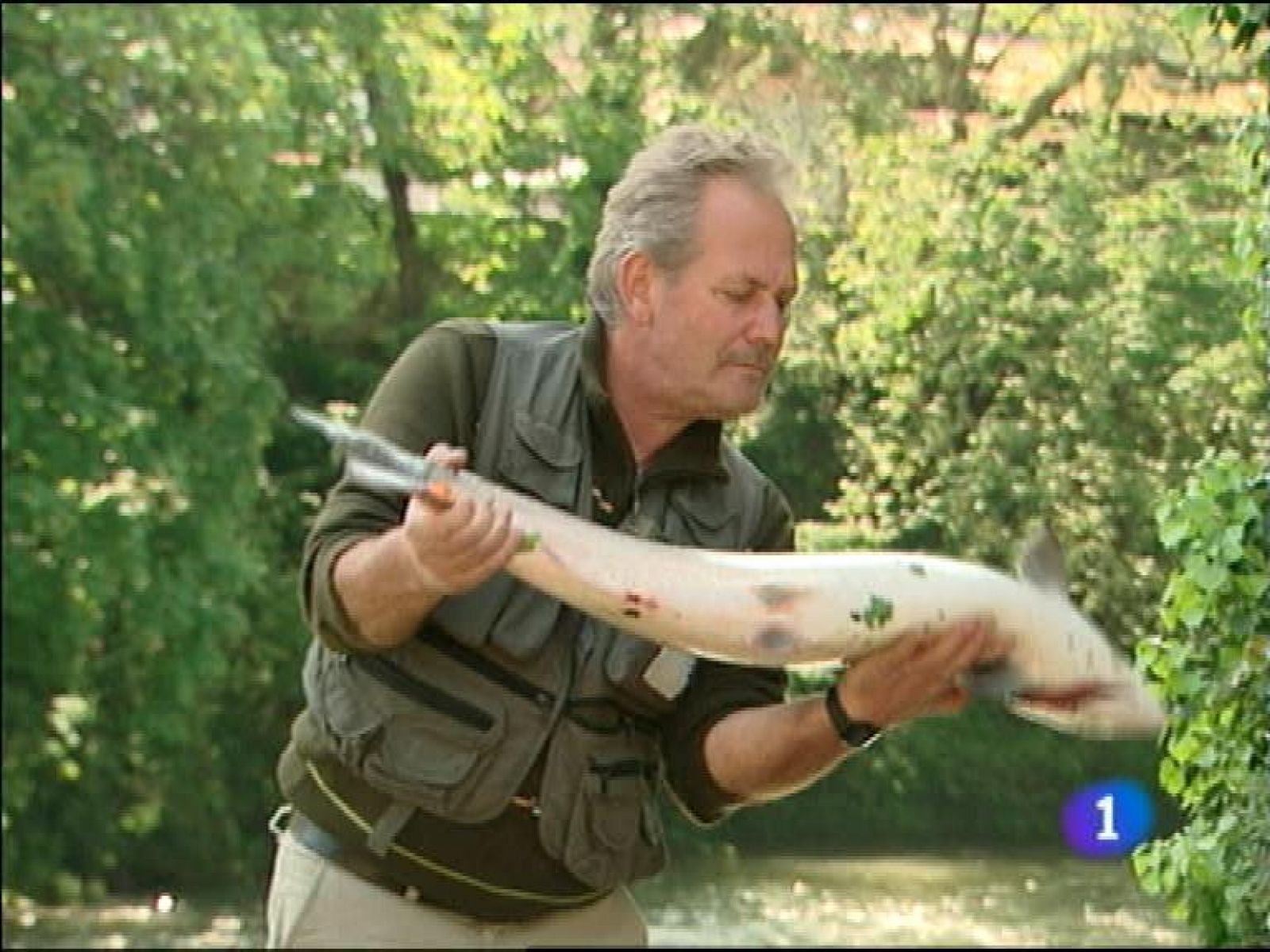 Panorama Regional 2 - 03/05/13 | Ver