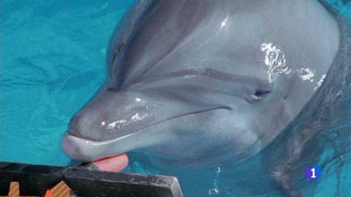 Lo que hay que ver ... - Lo que hay que ver - 04/05/13