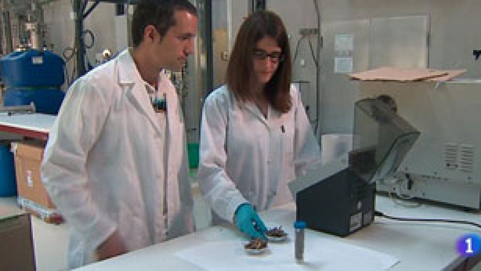 Los científicos estudian los deshechos alimenticios para darles nuevas utilidades