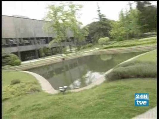 Zoom Tendencias - Restaurante Bokado