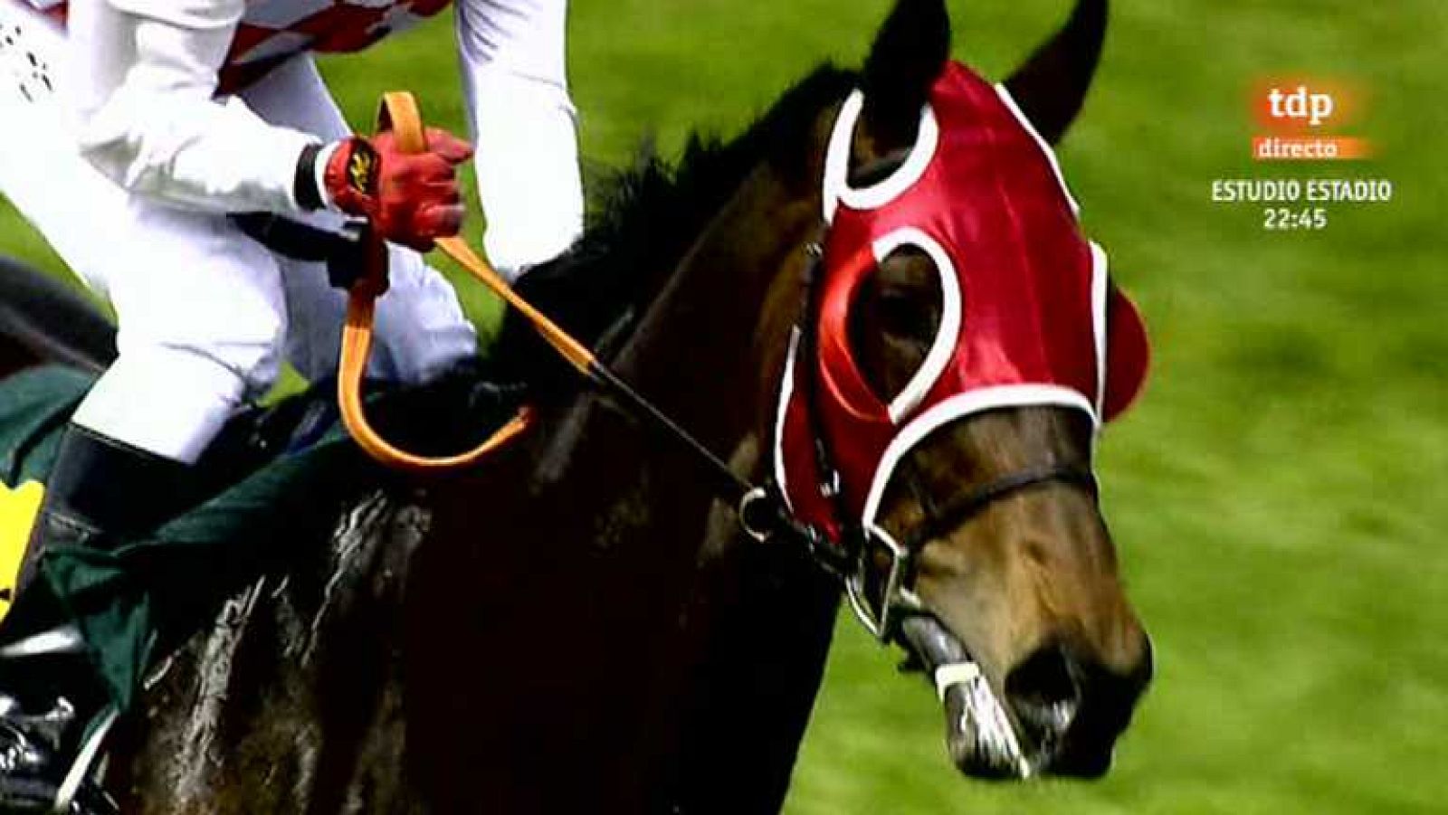 Turf - 05/05/13 - Ver ahora