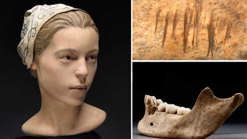  Científicos demuestran que los primeros colonos de EE.UU. practicaron el canibalismo