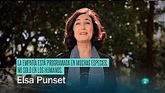 Redes - La mirada de Elsa -  Empatía y altruismo