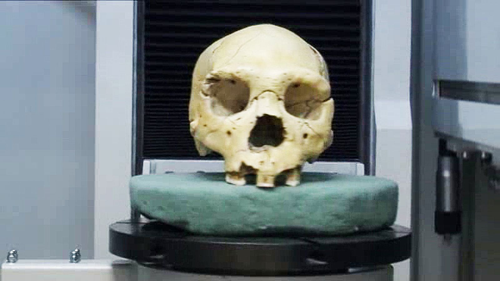 No era el último Neandertal.