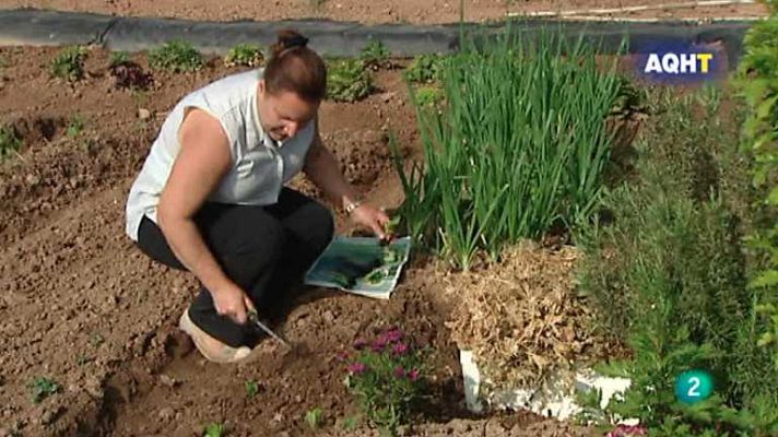Aquí hay trabajo - Aquí hay trabajo - 06/05/13