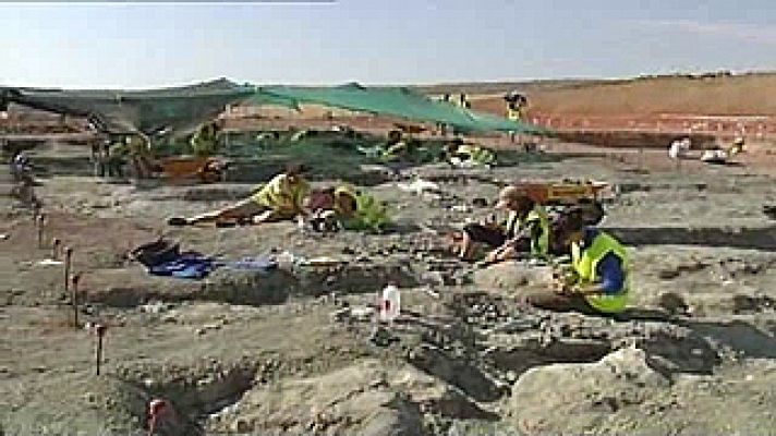 Universo UNED - Grupo de Biología Evolutiva