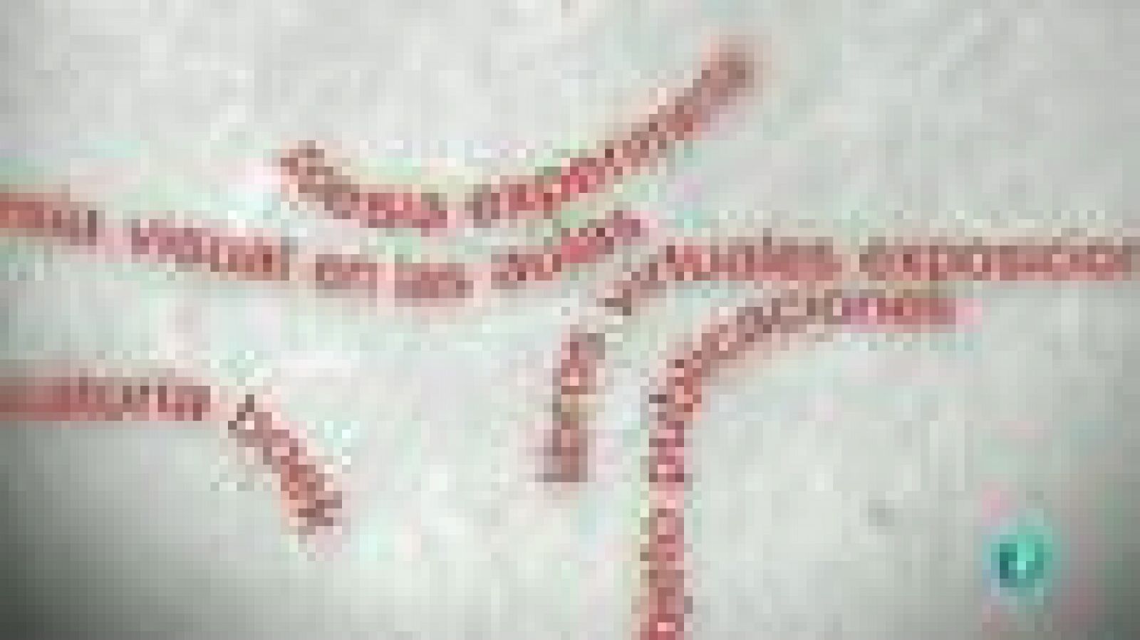 La Aventura del Saber. Javier Jaén Benavides