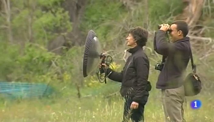 Noticias Aragón - Noticias Aragón - 07/05/13