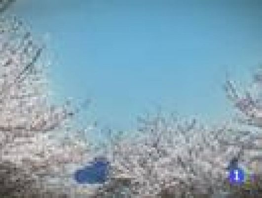 Informatiu Balear - El temps a les Illes Balears - 07/05/13