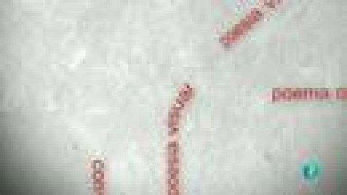 La aventura del Saber - Boek Visual: Isabel Jover