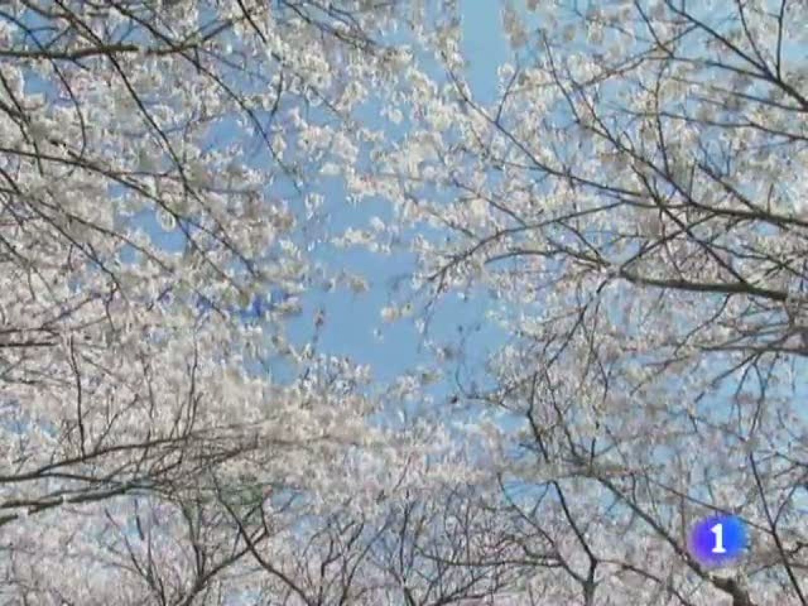 El tiempo en Cantabria - 09/05/13