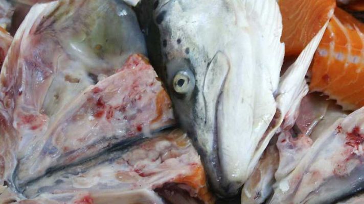 La noche temática - El despilfarro alimentario