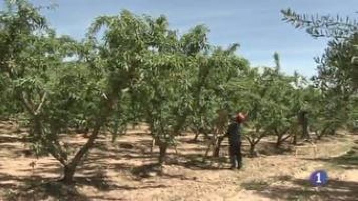 Noticias de Castilla-La Mancha - Noticias de Castilla La Mancha 2 (13/05/2013)