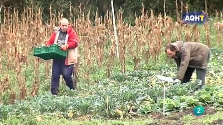 Aquí hay trabajo - Aquí hay trabajo - 15/05/13
