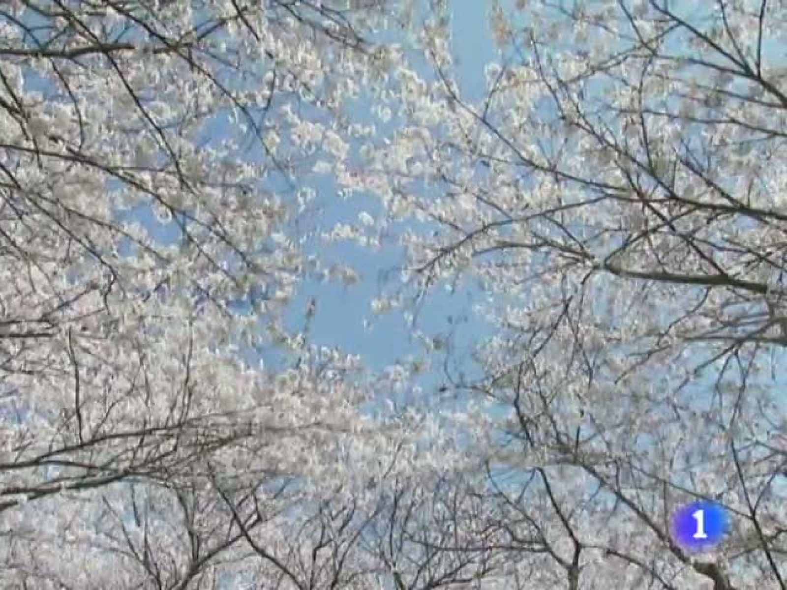 El tiempo en Cantabria - 15/05/13
