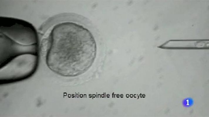 Telediario 1 - Clonación de células humanas