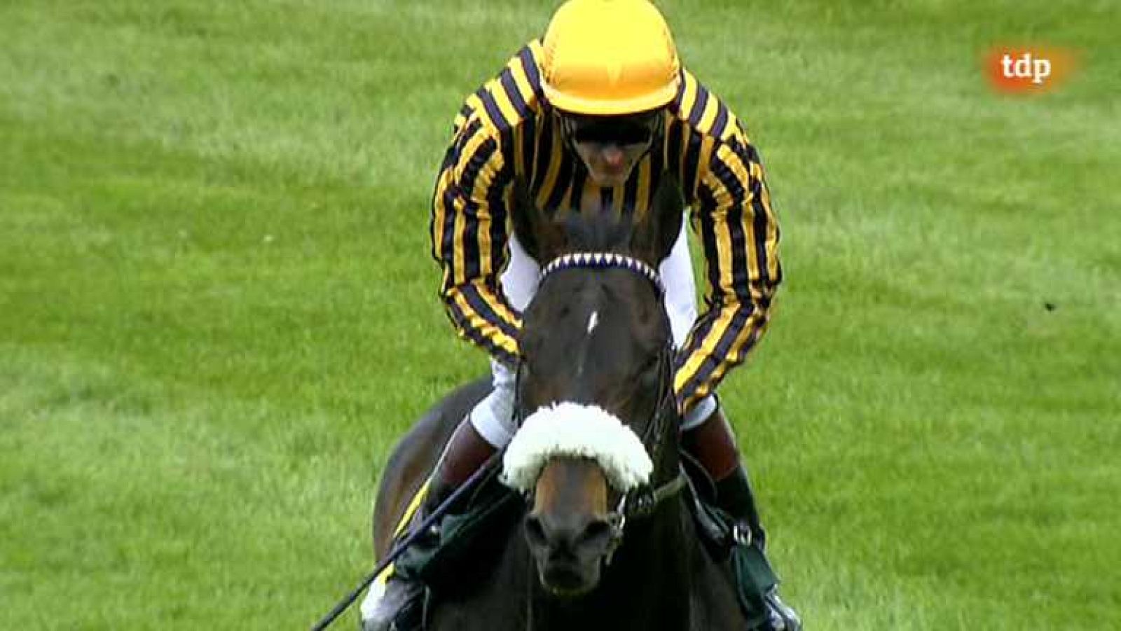 Turf - 15/05/13 - Ver ahora