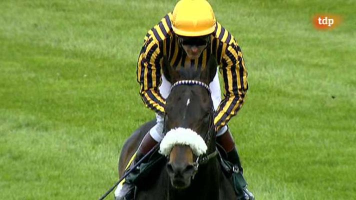 Turf - Turf - 15/05/13