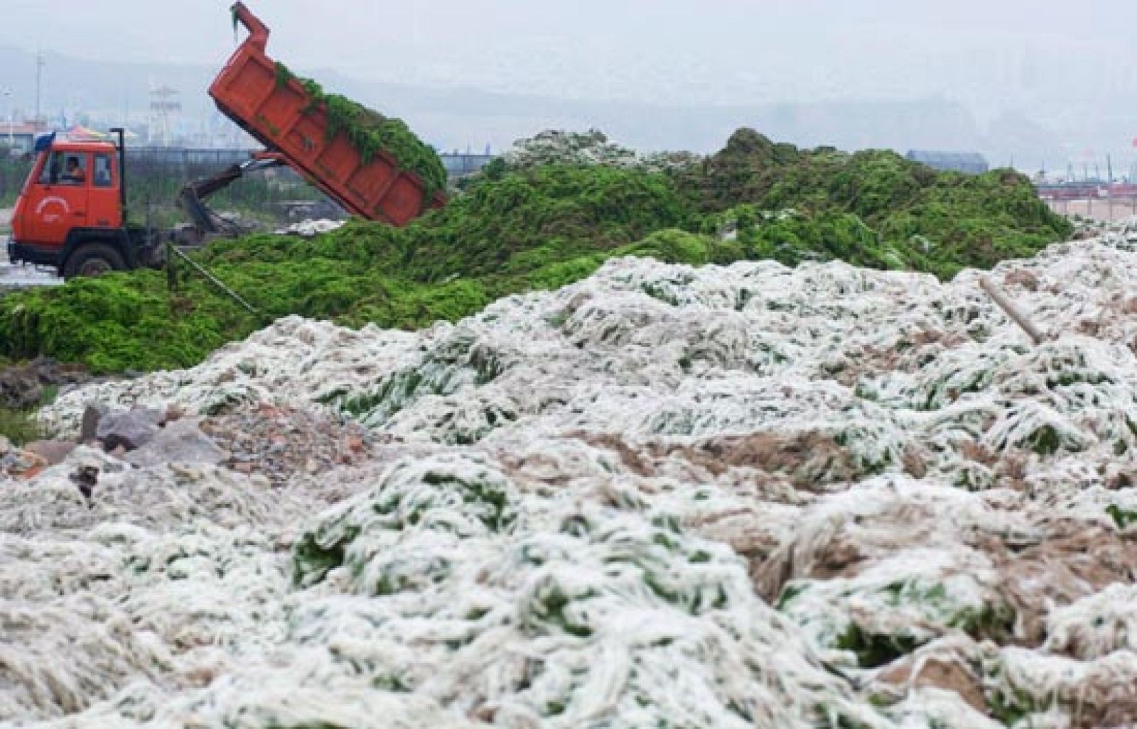 China lucha contra la contaminación | Ver