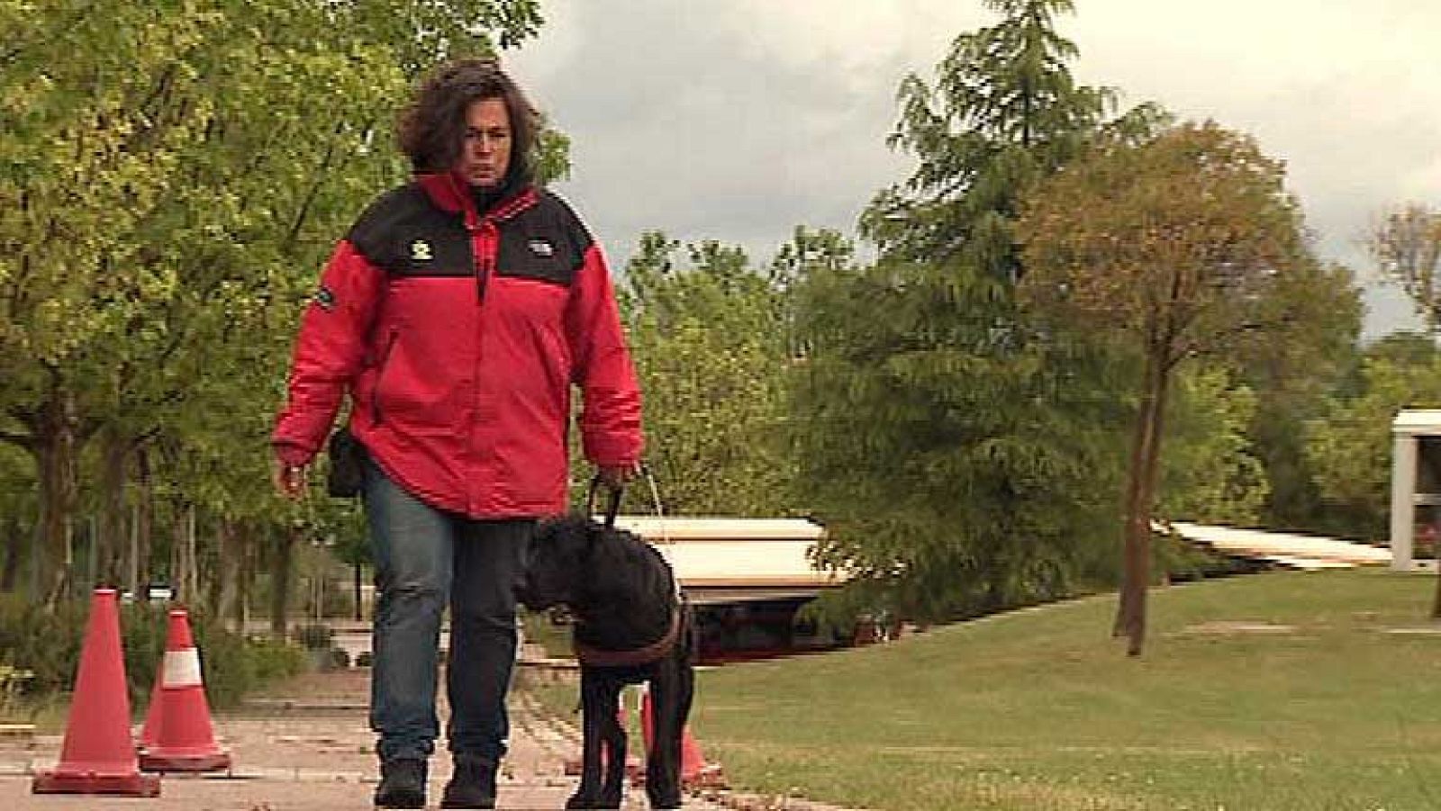   El 35% de los perros sufre displasia, una alteración en las articulaciones que produce cojera. Un problema muy grave cuando se trata de perros guía, porque son el apoyo básico de movilidad para los ciegos. Ahora,  un laboratorio catalán vinculado a la ONCE  ha desarrollado medicamentos que han conseguido reducir a la mitad  la incidencia de esta artrosis.