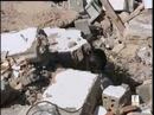  - Perros que salvan vidas