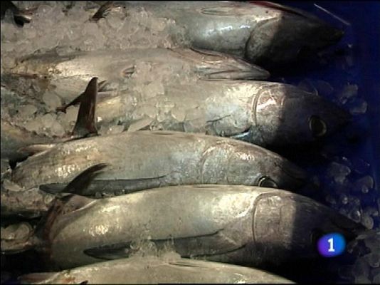 Panorama Regional - Panorama Regional 2 - 20/05/13