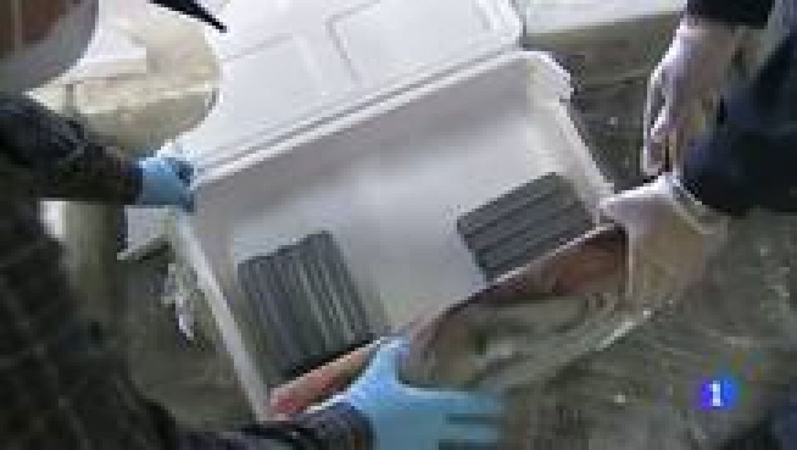 Barajas es uno de los principales puntos de entrada de cocaína en Europa | Ver