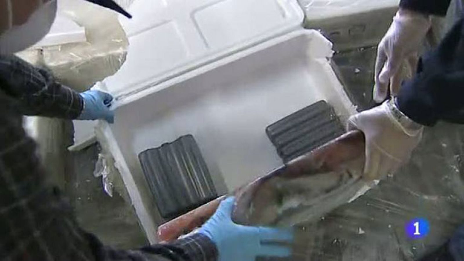 El aeropuerto de Barajas es uno de los principales puntos de entrada de cocaína en Europa. En la última operación de Vigilancia Aduanera se han interceptado más de cien kilos de esta droga. En las imágenes, exclusivas de Televisión Española, se ve cómo la han camuflado en unas placas que se utilizan para mantener frío el pescado.