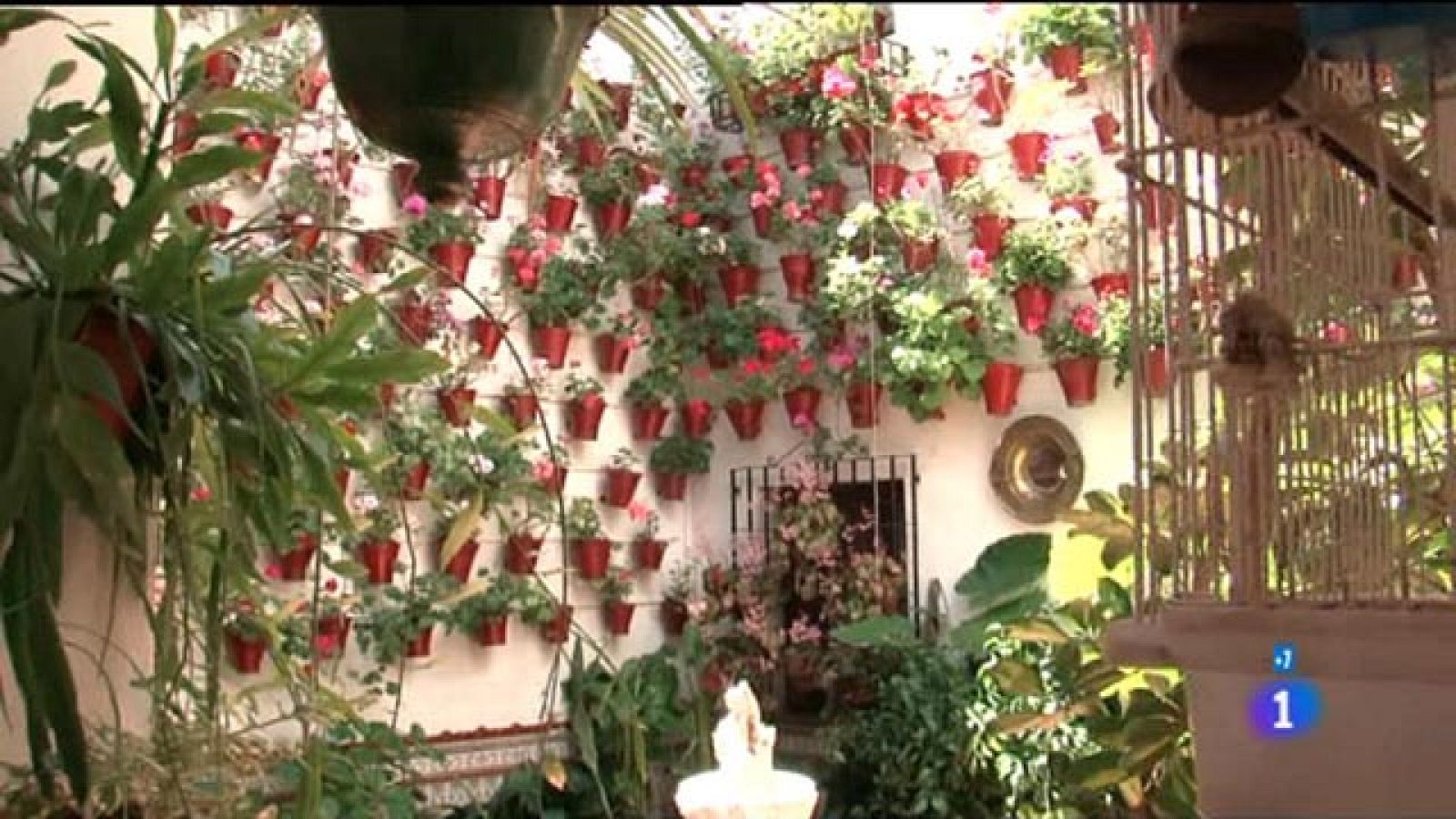 Comando actualidad - Mi tesoro - Los beneficios de una ciudad como Córdoba