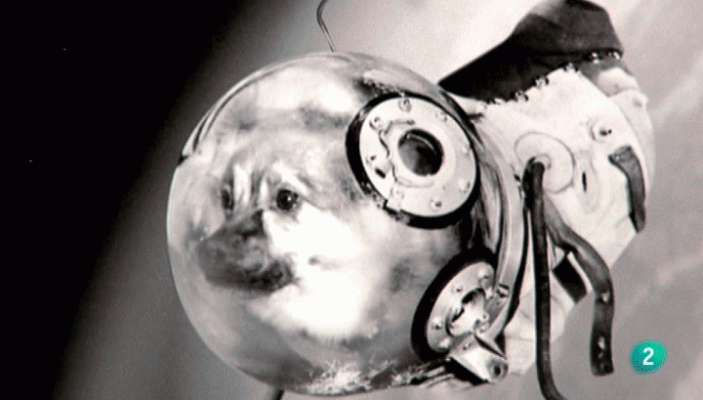 Creadores (1999-2001) - Joan Fontcuberta. Sputnik