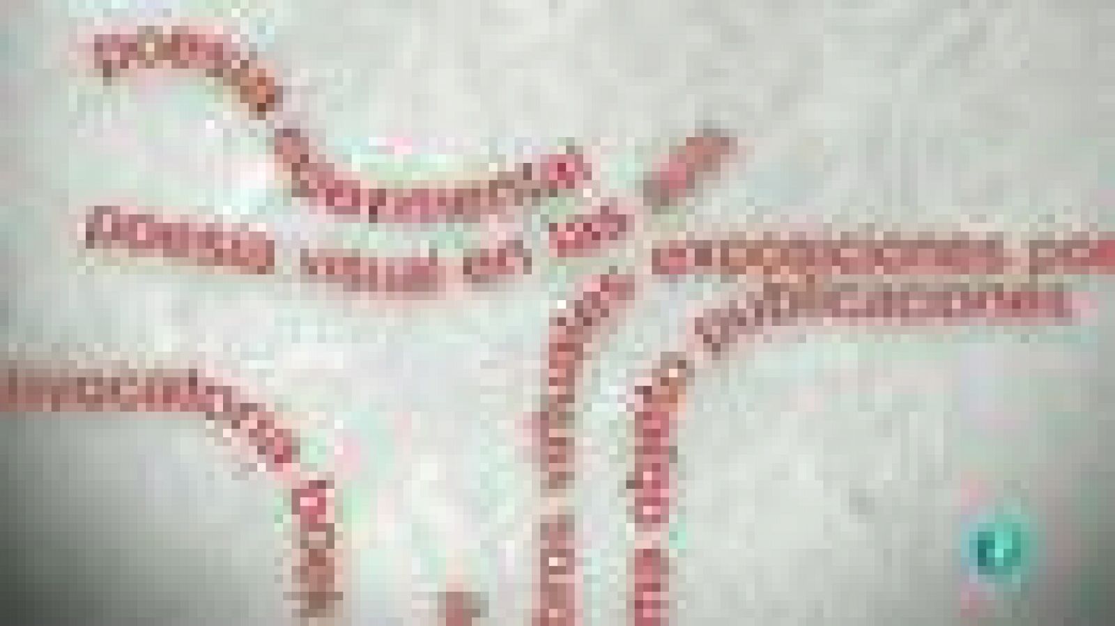 La Aventura del Saber. Boek Visual: Julia Otxoa