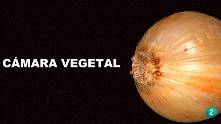 La aventura del Saber - Boek Visual: Julia Otxoa