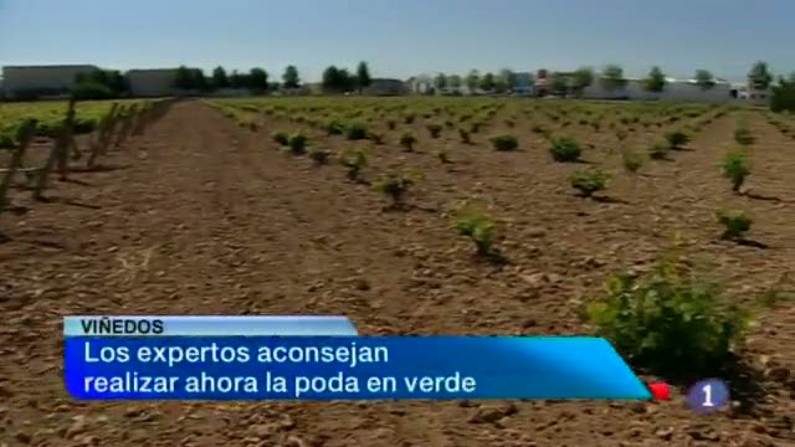 Noticias de Castilla-La Mancha: Noticias de Castilla- La Mancha2.24/05/2013 | RTVE Play