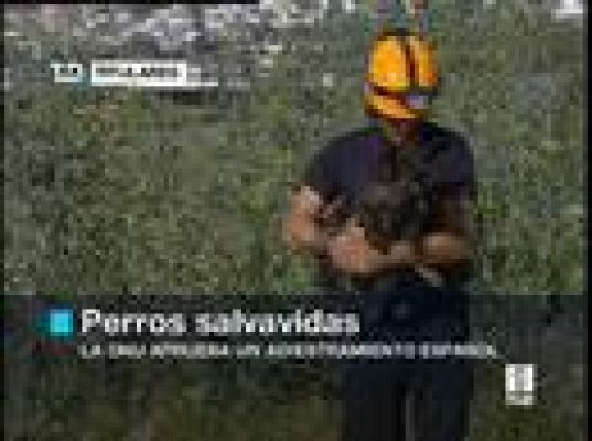 Telediario 1 - Telediario en 4' - 24/06/08