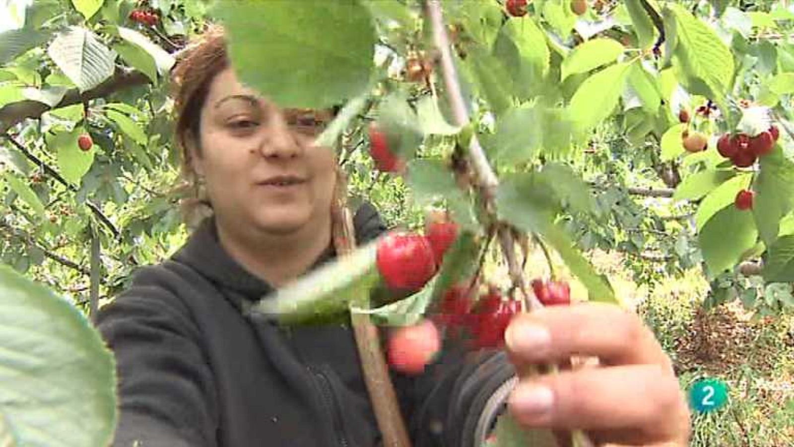 Agrosfera - 25/05/13 - Ver ahora