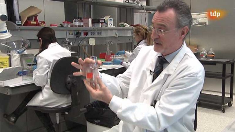 Reportaje: Dopaje - Ver ahora 