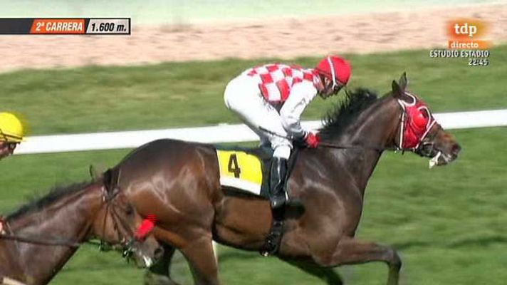 Turf - Turf - 26/05/13