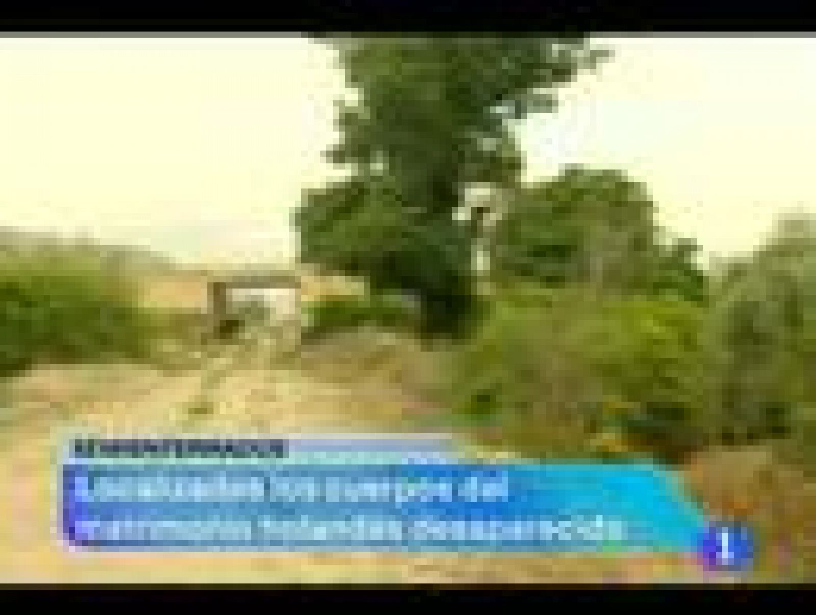 Noticias Murcia.(27/05/2013)
