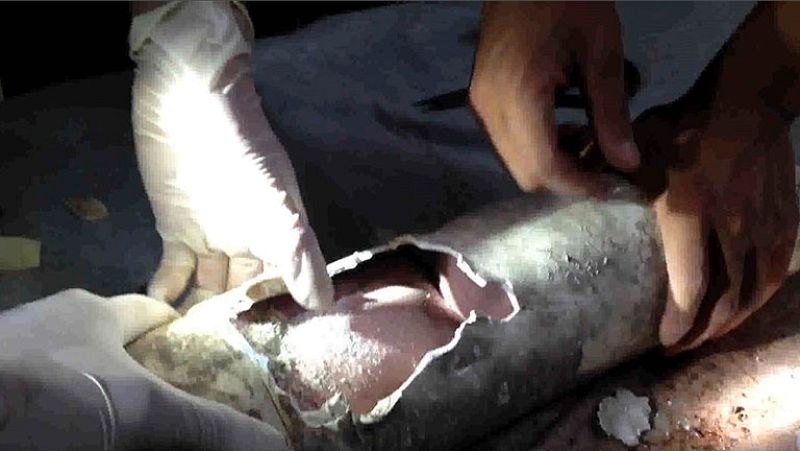  En la provincia china de Zhejiang los bomberos han rescatado a un recién nacido que estaba dentro de una tubería de un cuarto de baño. Vecinos del  edificio informaron haber oido llorar al bebe. Los bomberos lo encontraron aún con la placenta. 