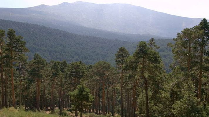 Telediario 1 - España, segundo país del mundo con más reservas de la biosfera