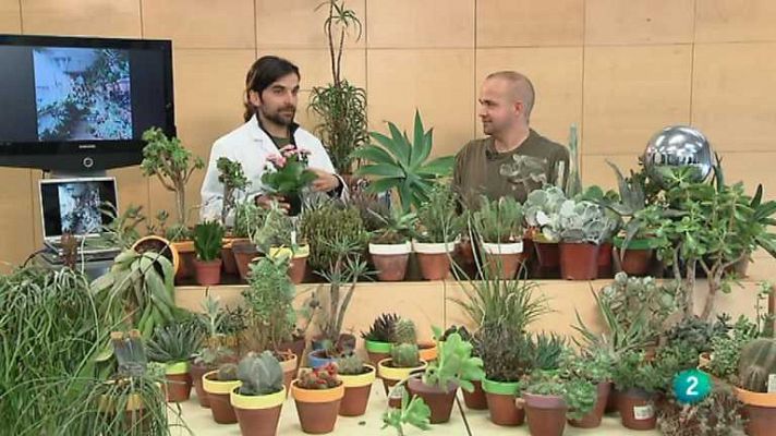 La aventura del Saber - La aventura del saber - 29/05/13