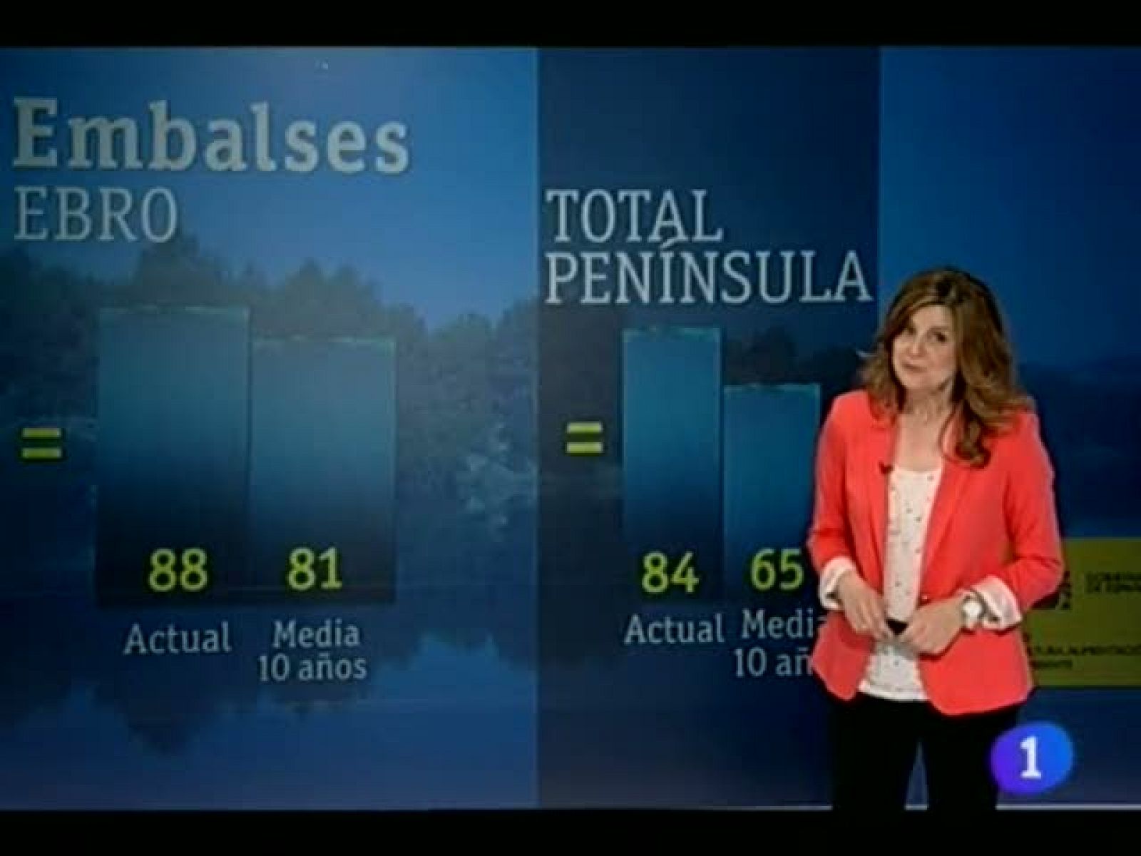 Telenavarra: El Tiempo en la Comunidad de Navarra - 29/05/2013 | RTVE Play