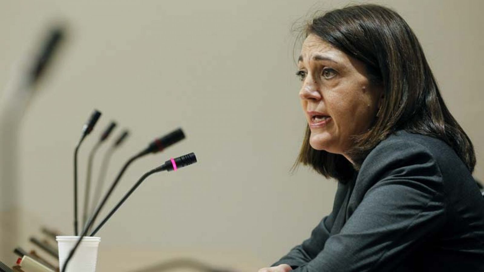 La violencia de género enfrenta al gobierno y al PSOE en el Congreso