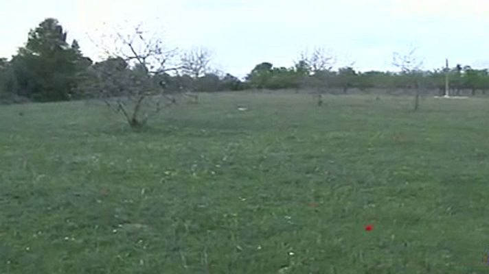 Telediario 1 - Revocado el proyecto de cannabis