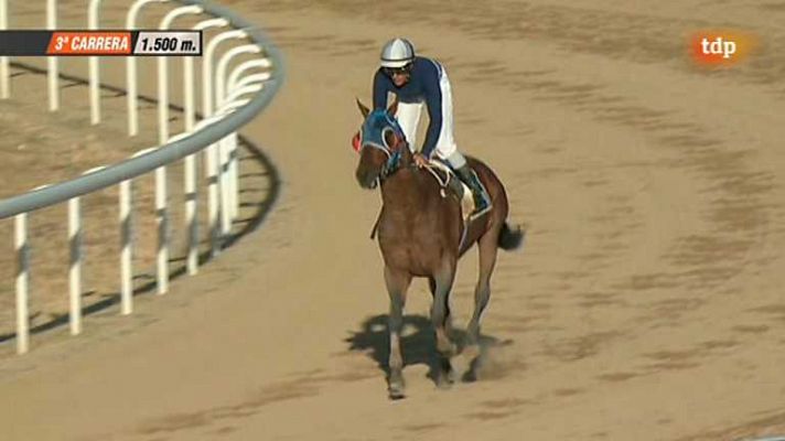 Turf - Turf - 31/05/13