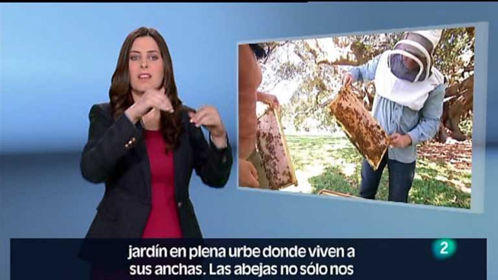 En lengua de signos - 01/06/13 - ver ahora