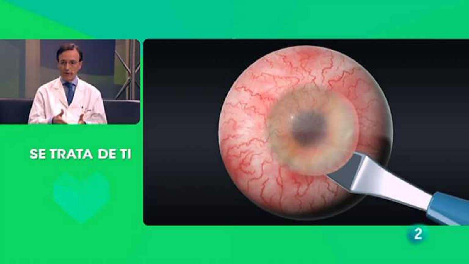 Se trata de ti - 01/06/13 - ver ahora 