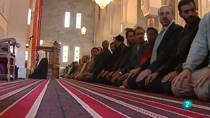 Islam hoy - Plataforma contra la islamofobia